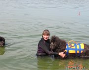 Превью фото № 237558