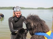 Превью фото № 237562