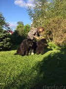 Превью фото № 237584