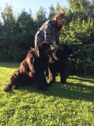 Превью фото № 237587