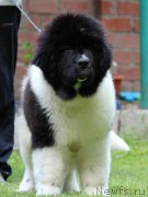 Превью фото № 237627