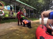 Превью фото № 237637