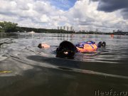 Превью фото № 237638