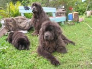 Превью фото № 237678