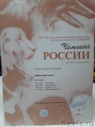 Превью фото № 237709