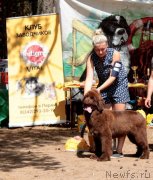 Превью фото № 237759