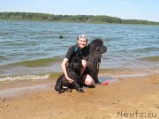 Превью фото № 237774