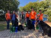 Превью фото № 237796