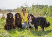 Превью фото № 237812