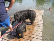 Превью фото № 237845