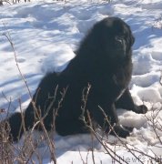 Превью фото № 237864