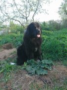 Превью фото № 237865