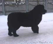 Превью фото № 237867