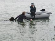 Превью фото № 237896