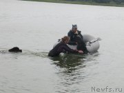 Превью фото № 237897