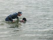 Превью фото № 237905