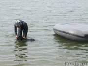 Превью фото № 237918