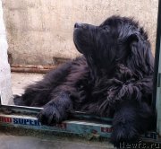 Превью фото № 237944