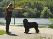 Превью фото № 237968