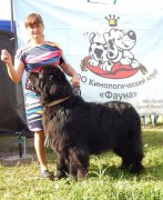 Превью фото № 237971