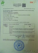 Превью фото № 237980