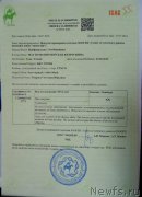 Превью фото № 237983