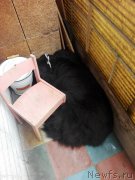 Превью фото № 238001