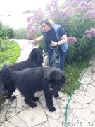 Превью фото № 238047