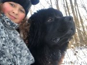 Превью фото № 238100