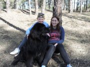 Превью фото № 238110