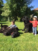 Превью фото № 238137