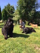 Превью фото № 238138