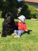 Превью фото № 238140