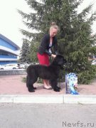 Превью фото № 238217