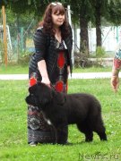 Превью фото № 238218