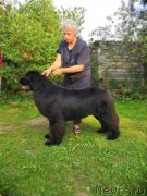 Превью фото № 238251