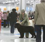 Превью фото № 23828