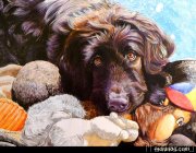 Превью фото № 238290