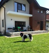 Превью фото № 238384