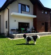 Превью фото № 238385