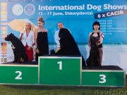 Превью фото № 238396