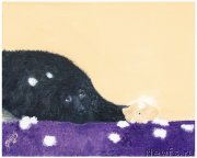 Превью фото № 238406