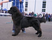 Превью фото № 238410