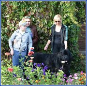 Превью фото № 238453