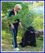 Превью фото № 238455