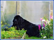 Превью фото № 238456