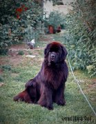 Превью фото № 238507