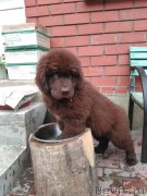 Превью фото № 238534