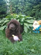 Превью фото № 238733