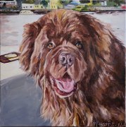 Превью фото № 238738